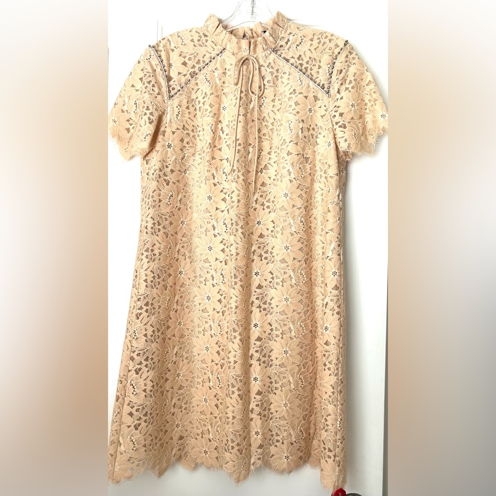 Brand new Elegant Lace Dress in Cream